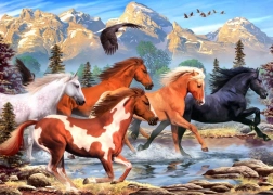 Puzzle ALIPSON Divocí a svobodní 500 dílků