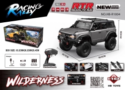 RC auto Wilderness 1:10 šedé