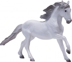 Mojo Lusitánský kůň bílý