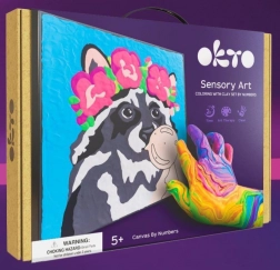 Výtvarná sada malování na plátno s mývalem 29 × 29 cm