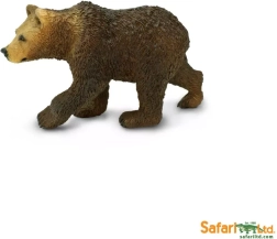 Medvěd grizzly – mládě