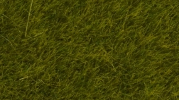 Statická tráva Divoká louka 6 mm