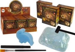 Vykopávky starověkých tvorů – překvapení amonit