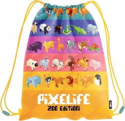 vak pixel zoo pro děti