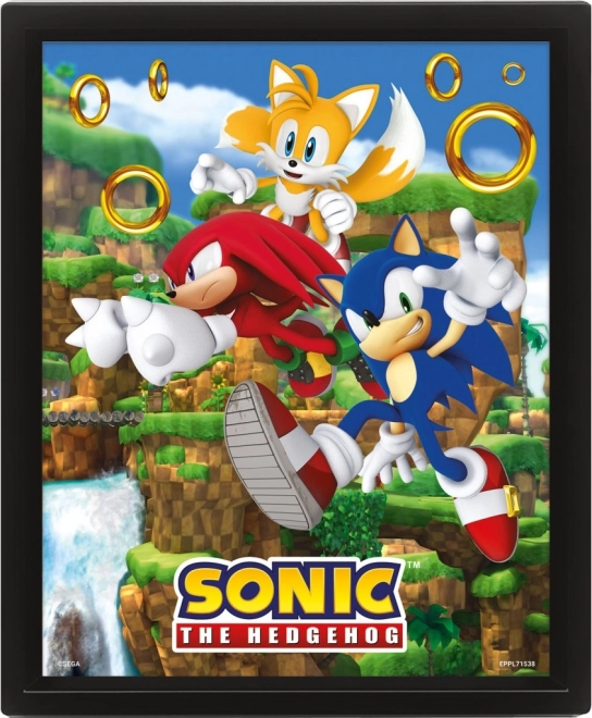 3D obraz SONIC – Catching Rings