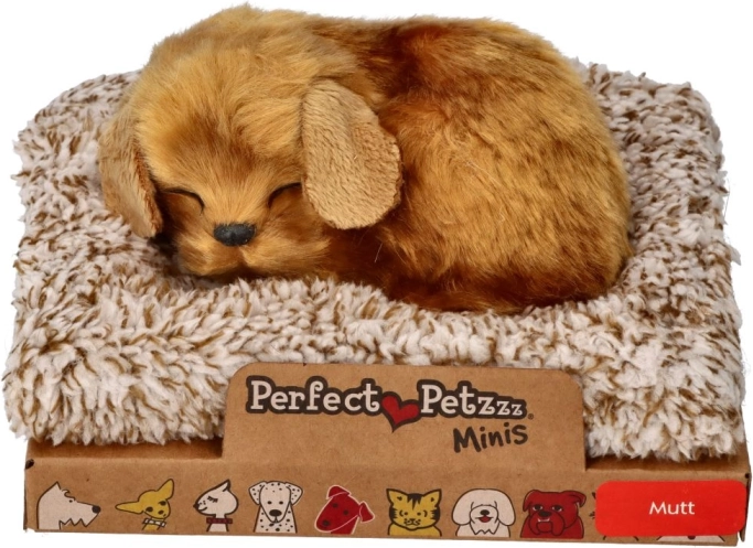 Malý pejsek Perfect Petzzz