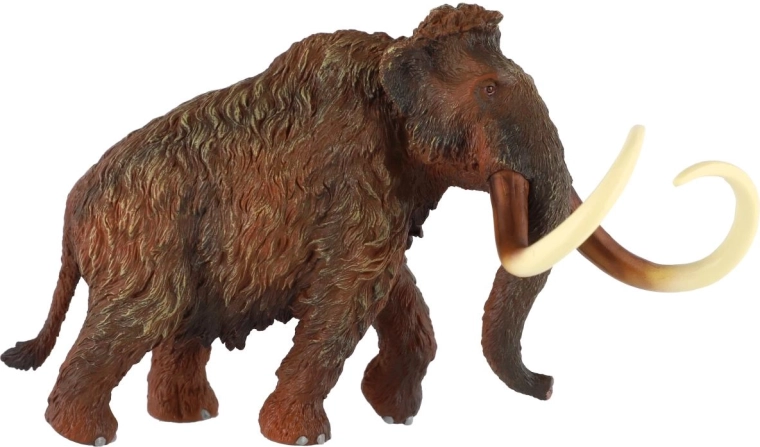 Věrná textura a barvení