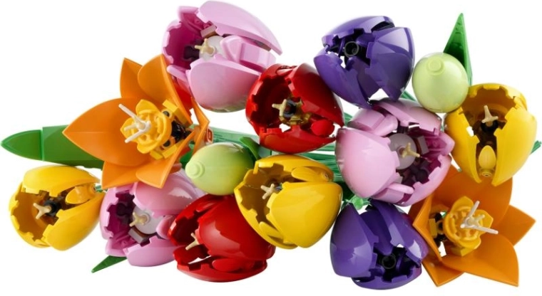 Realistické tulipány v pestrých barvách