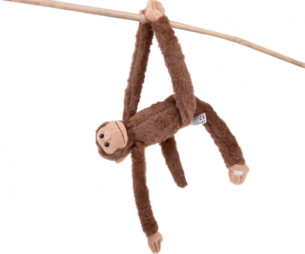 Lepící tlapky pro nekonečnou zábavu