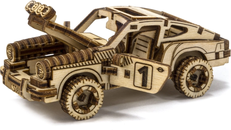 Detailní rallyový design