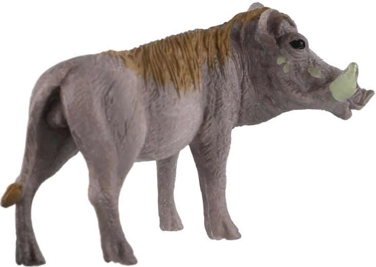 Poznávání africké fauny