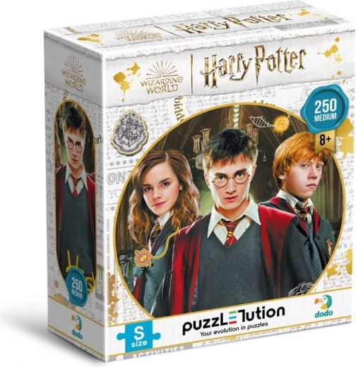 Puzzle DODO Harry Potter: Harry, Ron a Hermiona 250 dílků