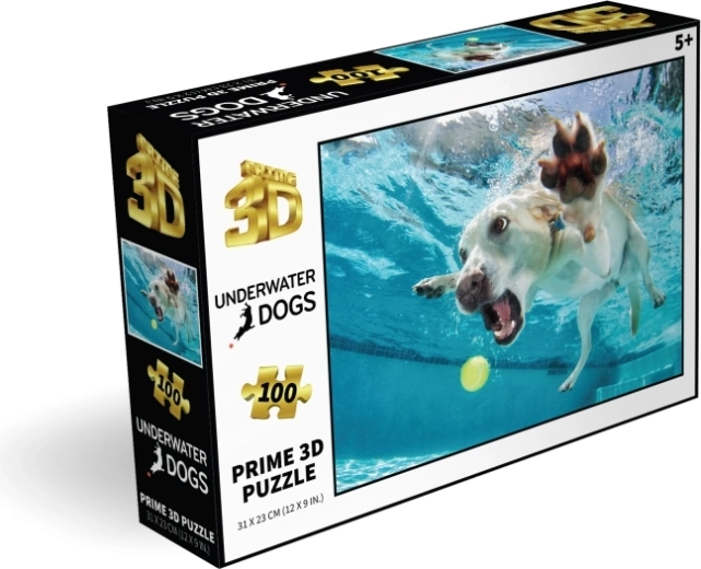 100 dílků pro chytrou zábavu