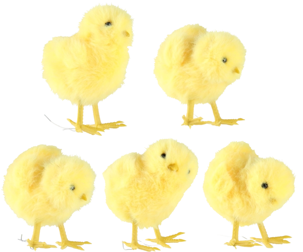 Sada 10 kusů v 5 designech