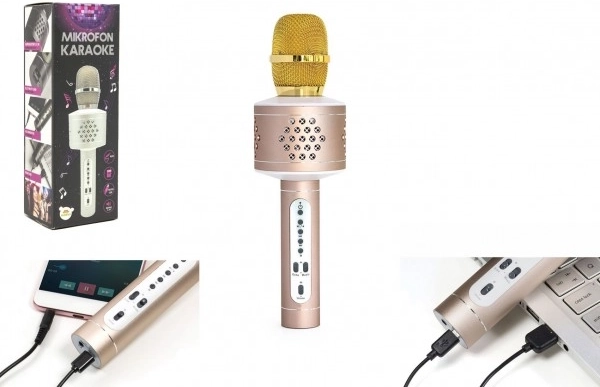 Karaoke mikrofon Bluetooth s ozvučením a efektem echo – Zlatá
