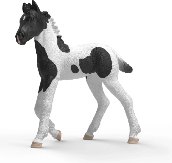 Schleich Horse Club sběratelské hříbě Rocky - 1 kus
