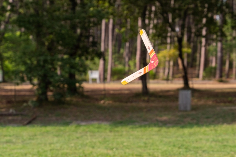 Vrací se při správném hodu