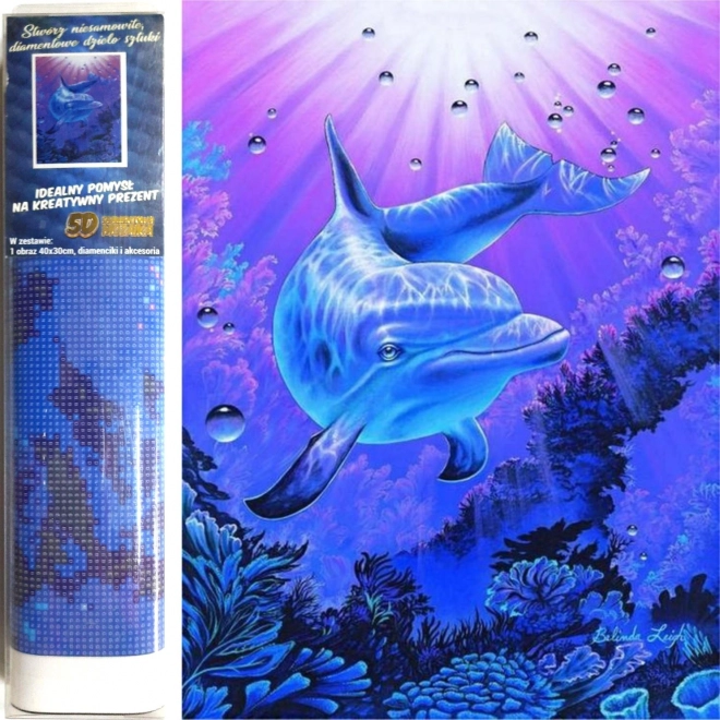 Norimpex diamantové malování delfín 30 × 40 cm