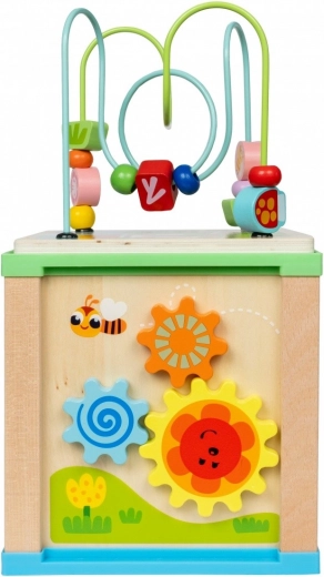 5 aktivit v jednom centru