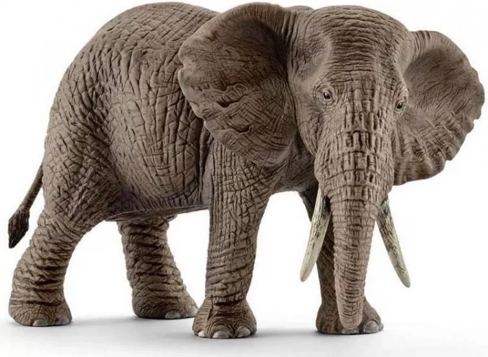 Schleich Wild Life slon africký – samice
