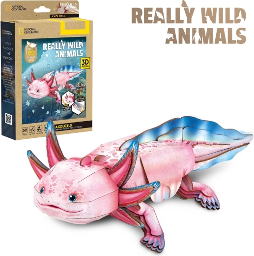 CubicFun 3D puzzle National Geographic: Axolotl, 50 dílků