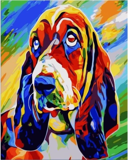 Obraz k malování podle čísel na rámu 40 × 50 cm – basset hound (barevný pes)