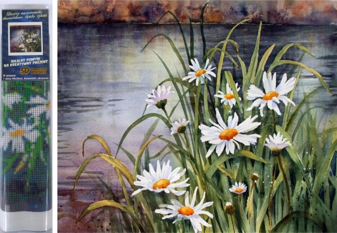 Diamantové malování kopretiny u vody 30 × 40 cm