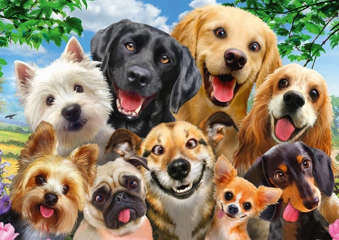 Schmidt puzzle psí selfie 500 dílků