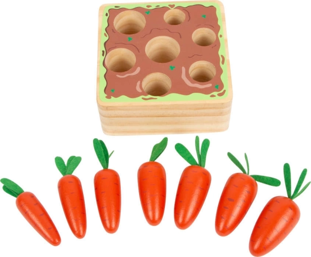 Sedm mrkví různých velikostí