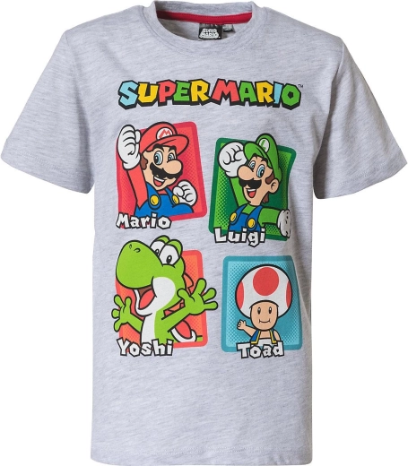 Oblíbení hrdinové Super Mario