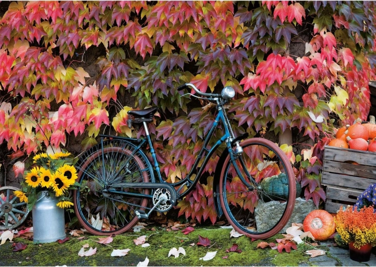 Puzzle Kouzlo podzimu 1000 dílků PIATNIK