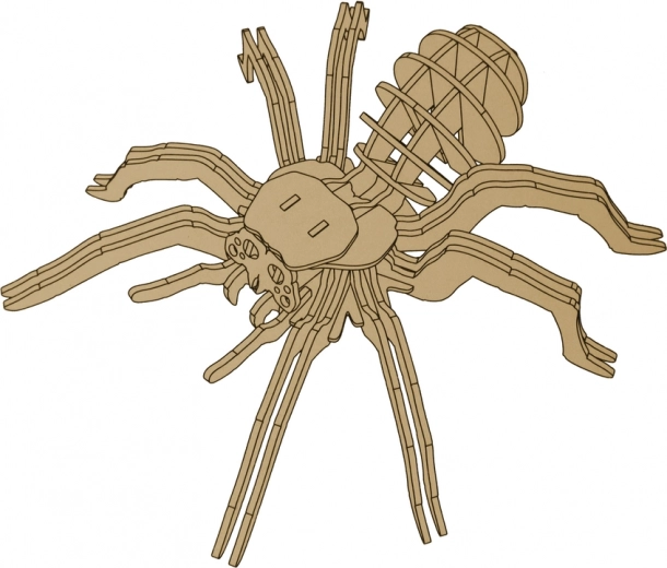 Realistický model pavouka