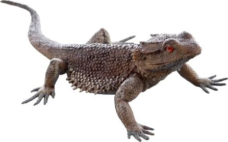 Plastová ještěrka – realistická figurka pro děti