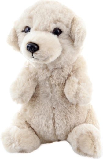 Bezpečné od narození