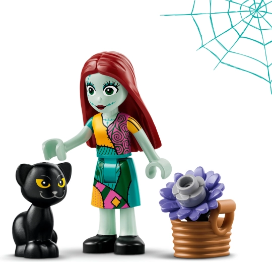 Sally a její černá kočka