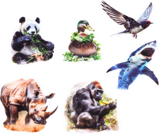 Průhledné pozadí pro čistý vzhled