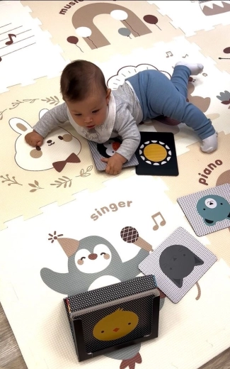 Stimulující motivy zvířátek a hudby