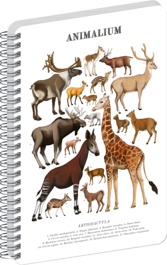 Notique spirálový blok Animalium – sudokopytníci, čistý, A4