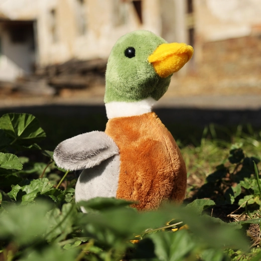 Eco-friendly výplň