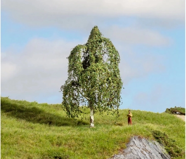 Noch bříza stříbrná 12 cm (Master Trees)
