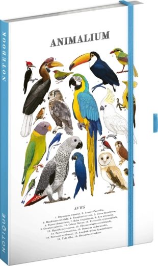 Notique Notes Animalium – ptáci linkovaný zápisník 13 × 21 cm