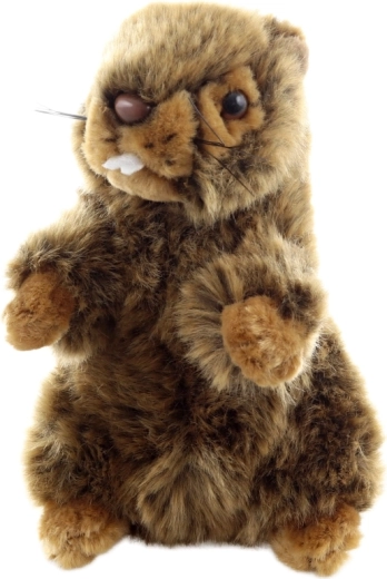 Eco-friendly zpracování