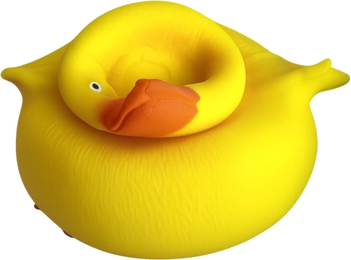 Zářivá barva a hravý design