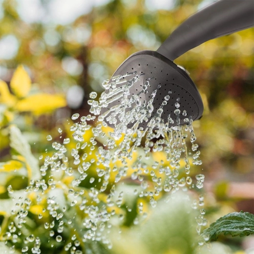 Jemné kropení i souvislý proud