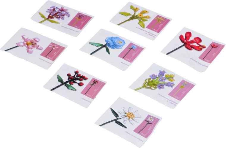 Krok za krokem pro každou květinu