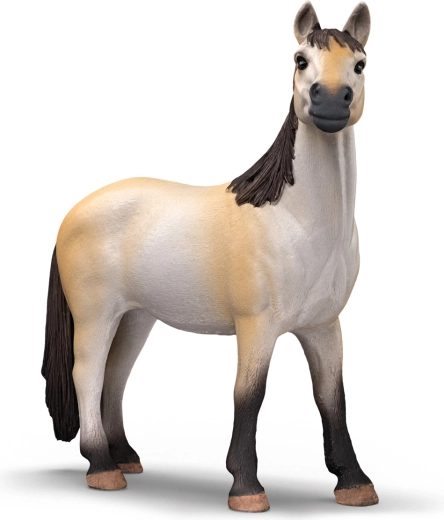 Krásná klisna mustanga