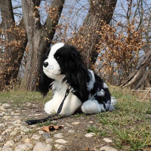 Vodítko pro hru na procházku