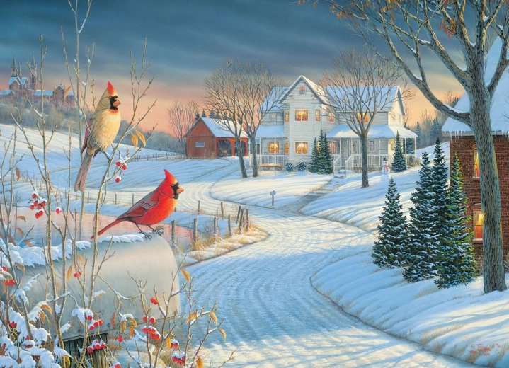 Eurographics puzzle Country cardinals by Sam Timm 1000 dílků