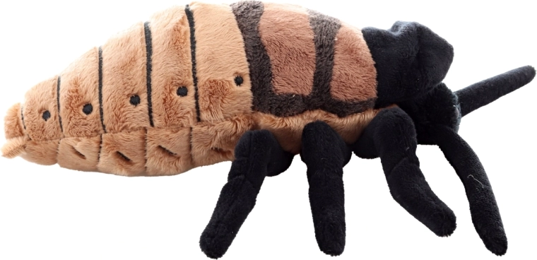 Realistický design s detailním zpracováním