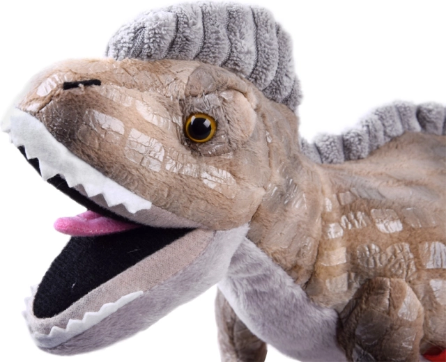 Realistický vzhled, který zaujme